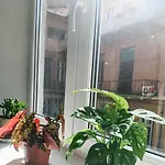 Friendly Little Studio
