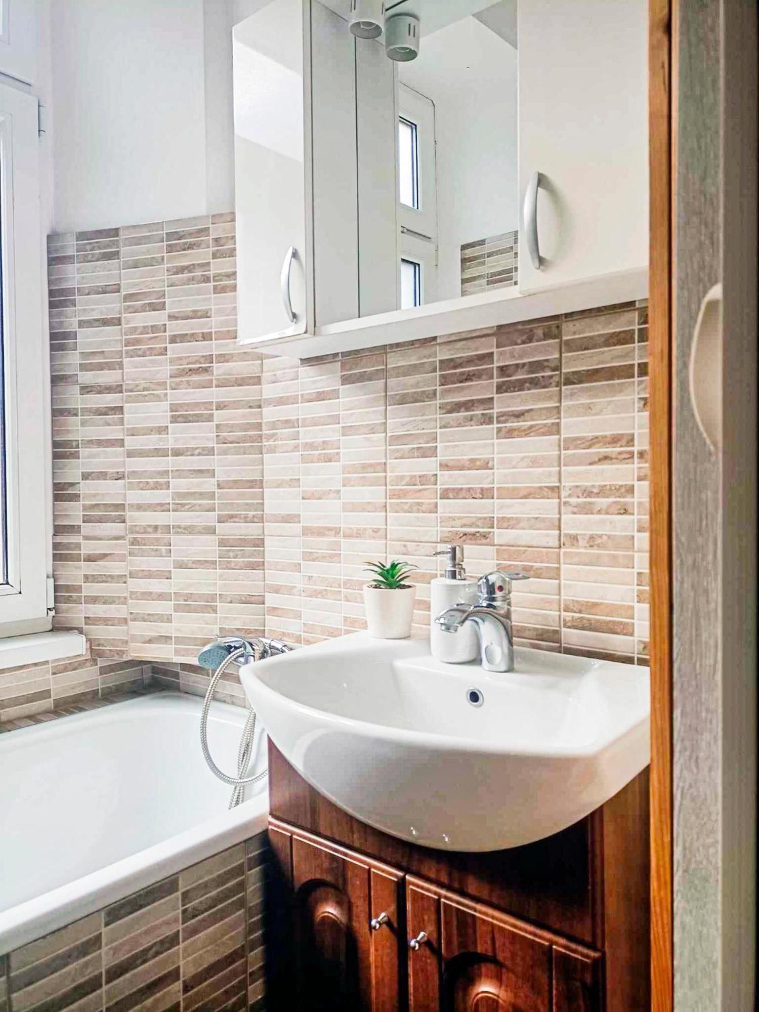 Friendly Little Apartment Brasov